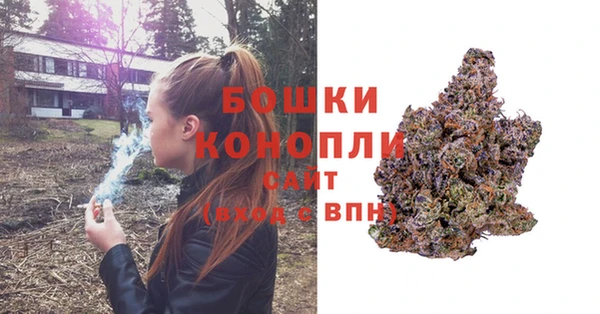 бошки Алзамай