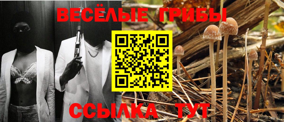 Псилоцибиновые грибы Magic Shrooms  Вход с VPN  Полысаево  Псилоцибиновые грибы Psilocybe 